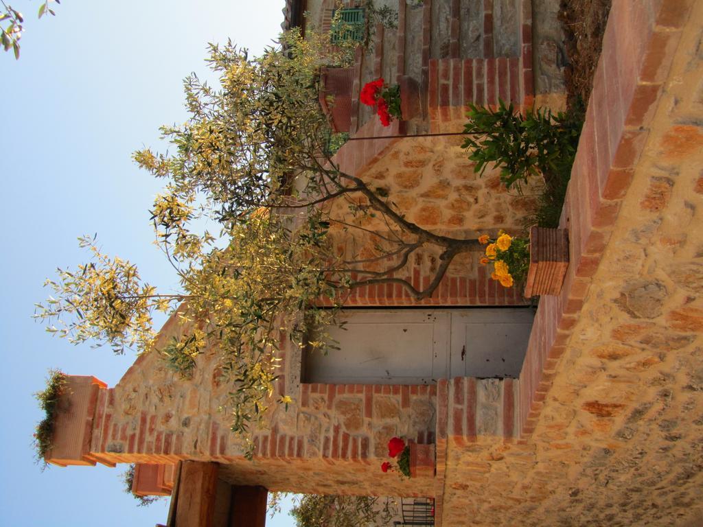 Agriturismo Borghetto Il Montino Rapolano Terme Eksteriør billede
