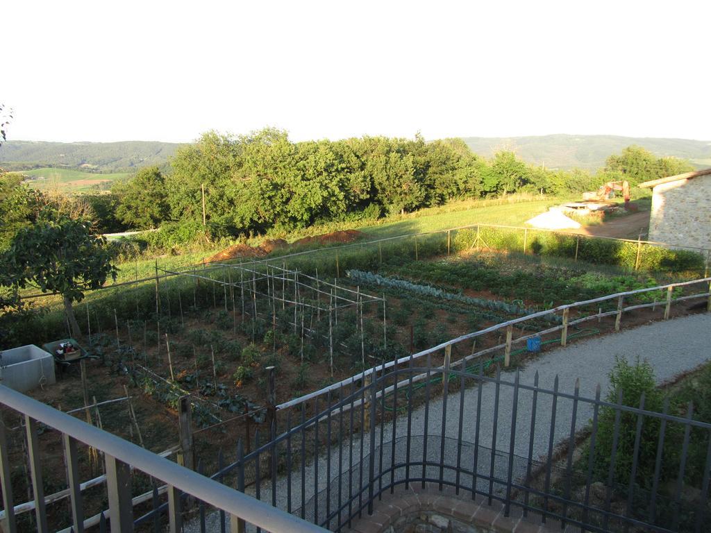 Agriturismo Borghetto Il Montino Rapolano Terme Eksteriør billede
