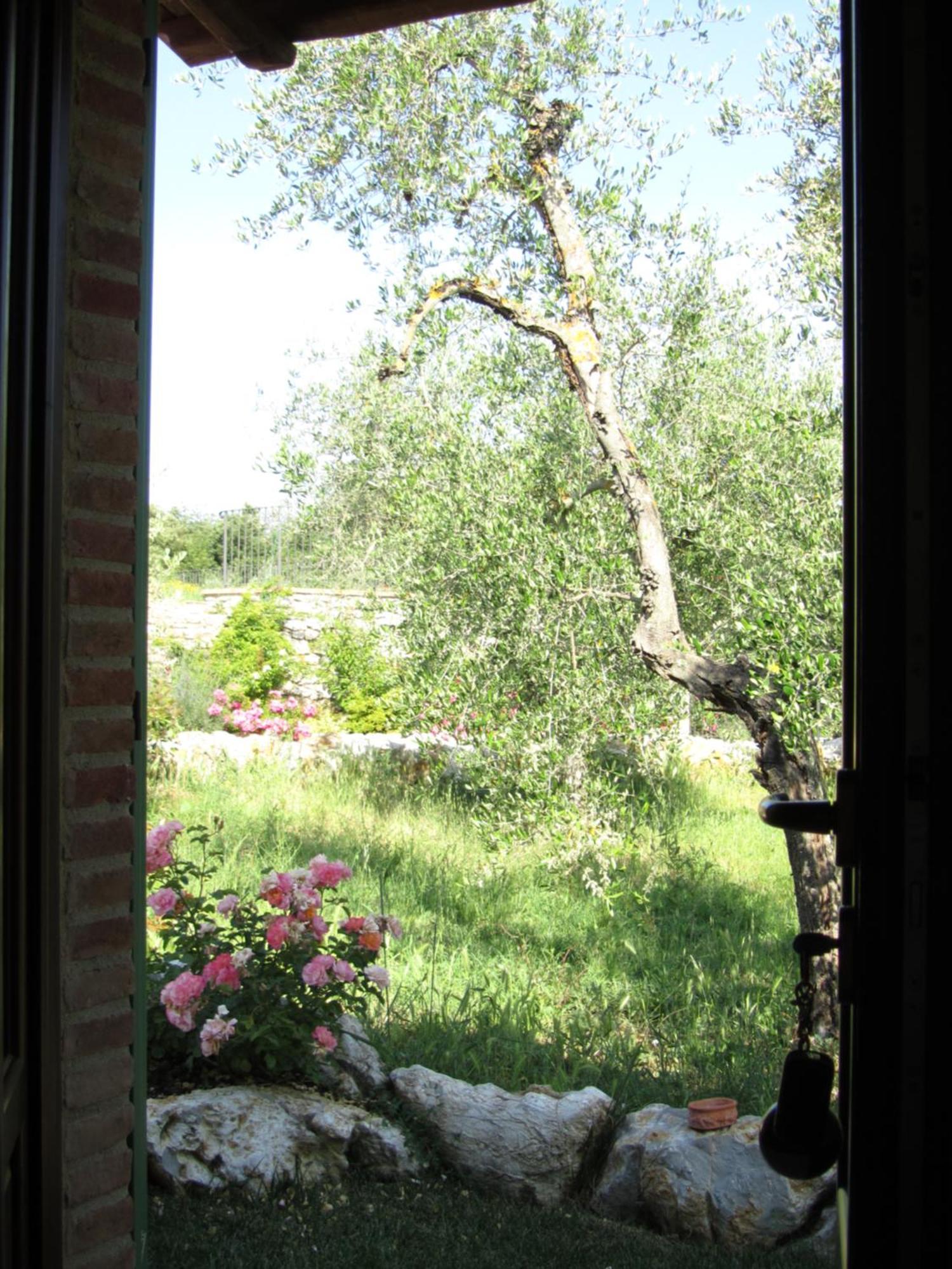 Agriturismo Borghetto Il Montino Rapolano Terme Eksteriør billede