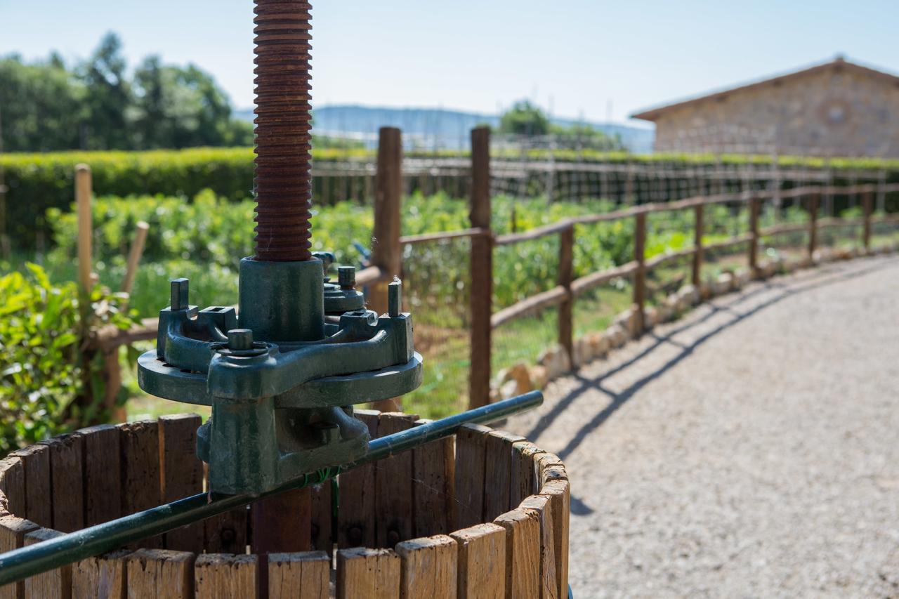 Agriturismo Borghetto Il Montino Rapolano Terme Eksteriør billede