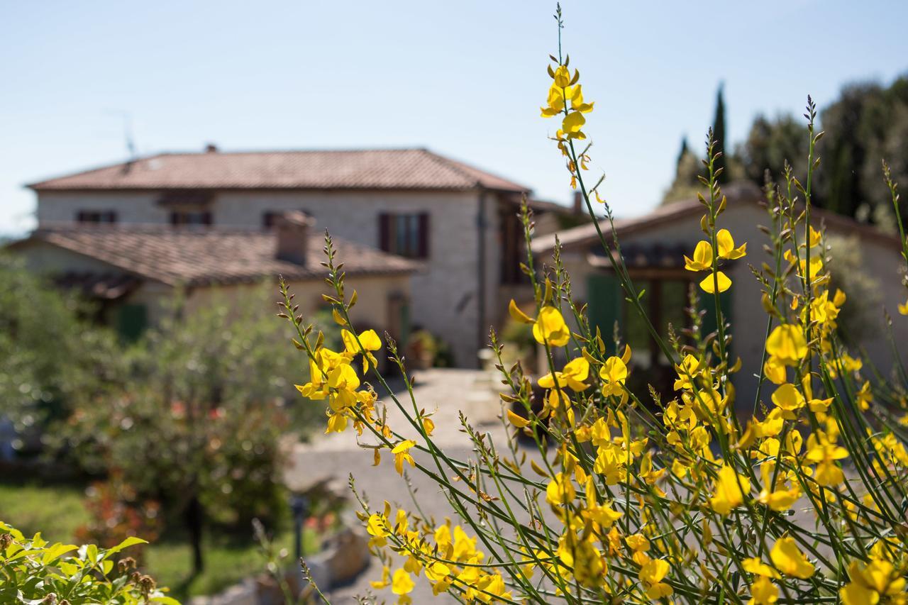 Agriturismo Borghetto Il Montino Rapolano Terme Eksteriør billede