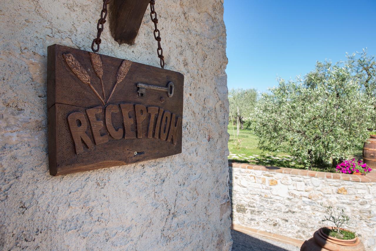 Agriturismo Borghetto Il Montino Rapolano Terme Eksteriør billede